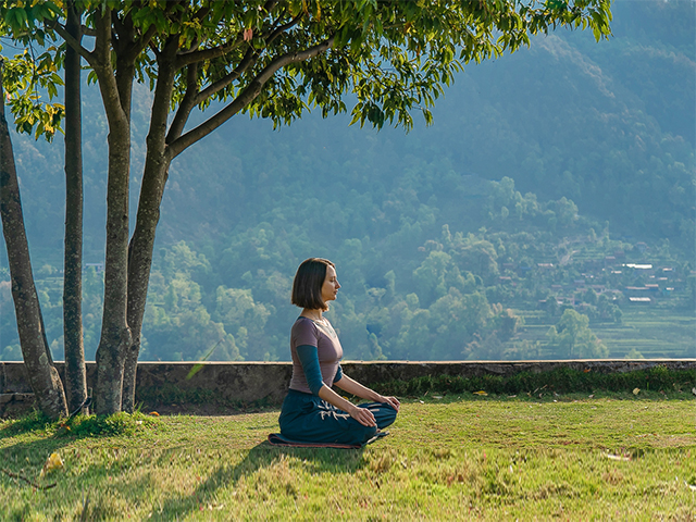 Медитация-визуализация «Практик под Деревом Пути»