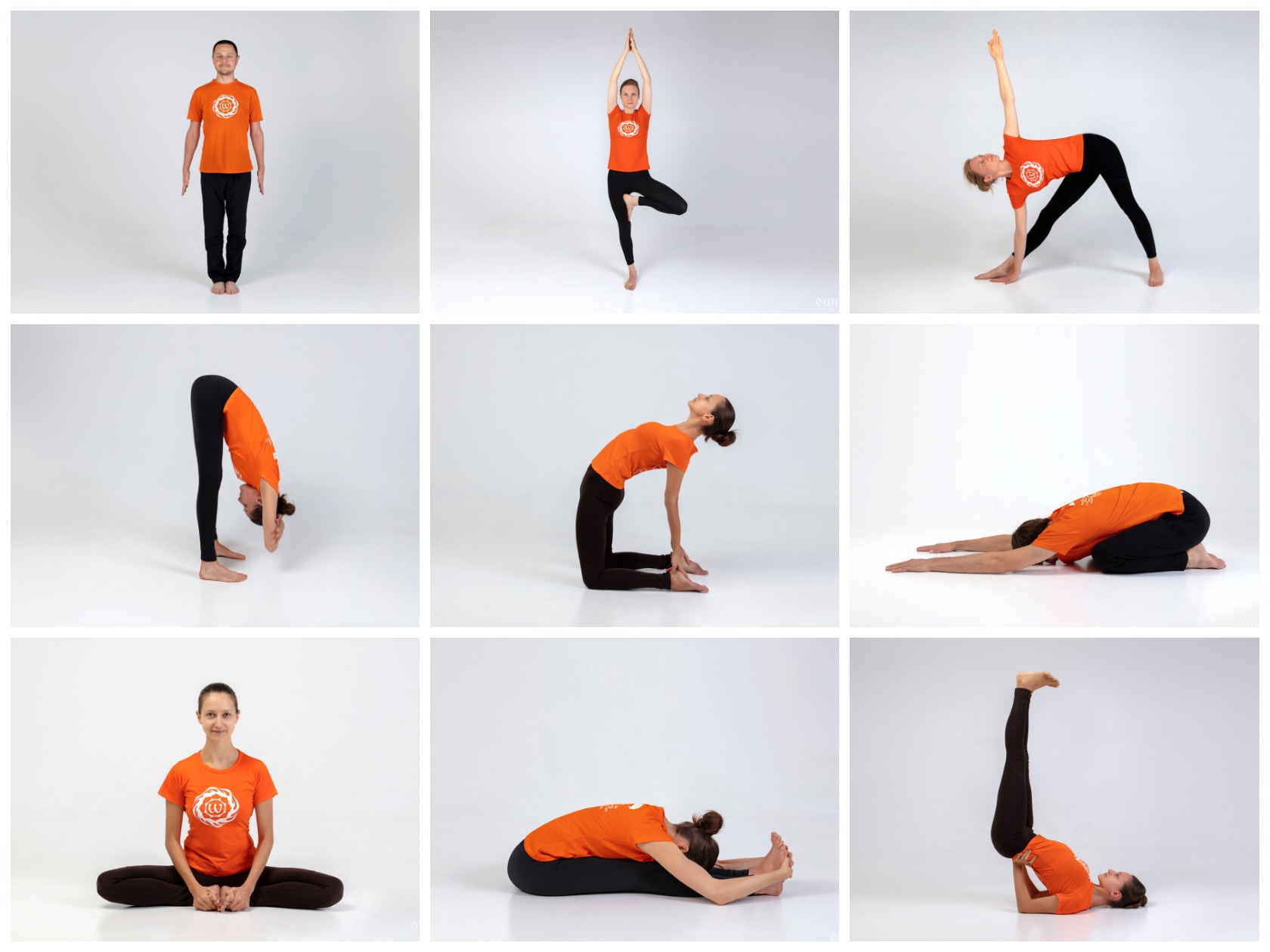 Занятие йогой 30 минут. Хатха йога упражнения для начинающих. Хатха йога для начинающих комплекс упражнений. Хатха-йога комплекс асан. Хатха-йога для начинающих самые первые позы.